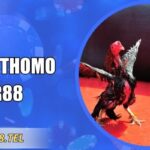 Đá Gà Thomo RR88 Kịch Tính Với Tỷ Lệ Thưởng Hấp Dẫn