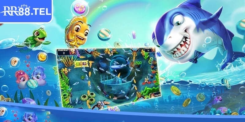 Săn boss rồng trong vương gia đánh cá RR88